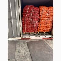 Продаж червоної цибулі