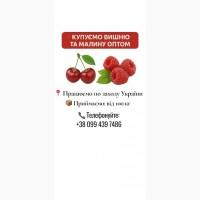 Купуємо Вишню та Полуницю