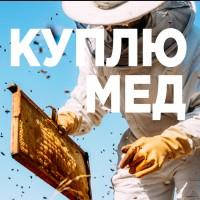 КУПЛЮ МЕД в Вінницькій області