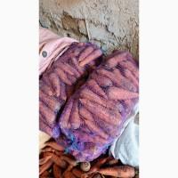 Продам моркву гібрид болівар