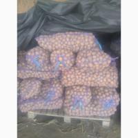 Продам картоплю дрібну 22т