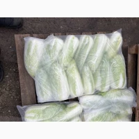 Продам пекинскую капусту сорт Билко
