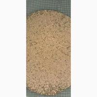 Продам насіння пухироплідника