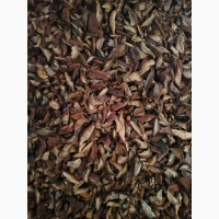 Продам вяленую грушу