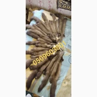 Купимо хутро по Україні будь які обʼєми куниця бобер кролик заєць
