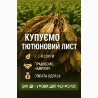 Потрібен тютюновий лист у великих та малих об’ємах