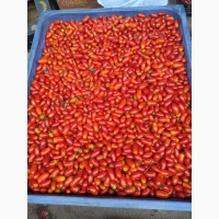 Продам коктейльный помидор