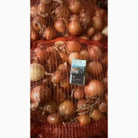 Продам товарну Цибулю