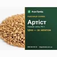 Пшениця озима Артіст: сертифіковане насіння (DSV)
