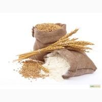 Продам муку Кролевецького КХП