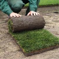 Предлагаем продажу с доставкой и разгрузкой и укладкой качественный Рулонный газон 