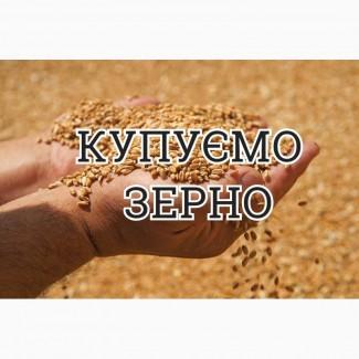 Компанія проводить закупівлю пшеницю 3-6 клас з місця по Волинській області