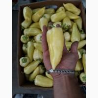 Продам перец желтый Алексий