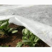 Агроволокно Агротекс 3, 2х100, 42 плотность