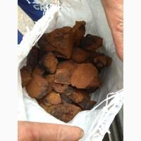 Чага кусковая и молотая