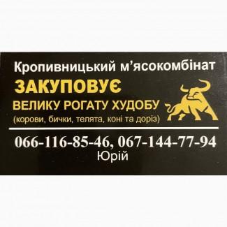 Закуповуємо ВРХ