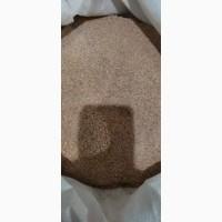 Selling wheat bran for export. Продам пшеничные отруби на экспорт