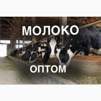 Продаж молока оптом від виробника – 5 000 кг/день