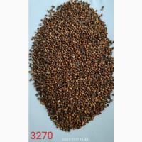 Продам сорго біле, червоне - 750т., с/г виробник