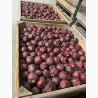 Продам яблука:Голден; Фуджі; Джеромін; Гала експертноі якості Вінницька обл.м.Немирів