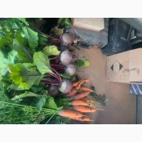 Продам буряк