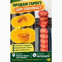Пр0двм Гвр6у3 с0рт Спеллквст