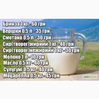 Різні види сирів на будь-який смак