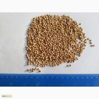 Продам сорго белое без ГМО. Без танина. от 20 тонн