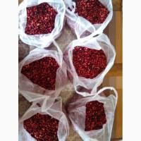 Продам брусницю закарпаття