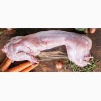 Продам Мясо Кролика