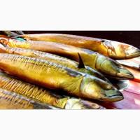 Продам скумбрию холодного копчения
