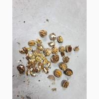 Продам бойний горіх