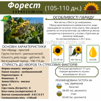 На посівну 2021 року насіння соняшника та кукурудзи за доступними цінами