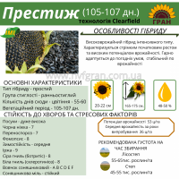 На посівну 2021 року насіння соняшника та кукурудзи за доступними цінами