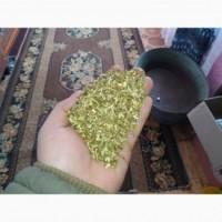 Куплю оптом самосад махорку