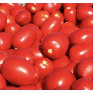 Продам помідори сливка, гарна, червона помідора з Миколаєва, знаходимось у Львові