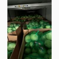 Продам Капусту гурт від 1 тонни