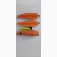 Продам моркву сортотипу Шантане