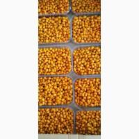 Обліпиха ягода