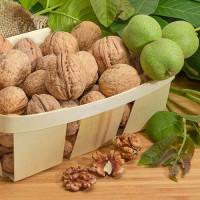 Куплю грецький горіх/орех/волоський горіх