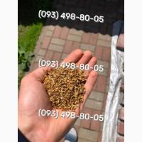 Справжній смак, аромат і якість Вірджинія, Кемел, Давідофф, Мальбро, Берлі, Гавана, Дюбек