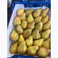 Продам грушу Нояберська