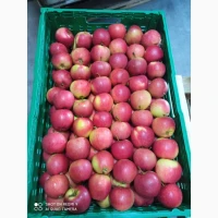 Продамо високоякісне яблуко з холодильника