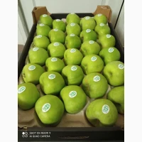 Продамо високоякісне яблуко з холодильника