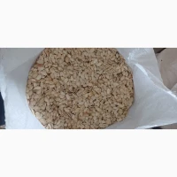 Продам гарбузове насіння
