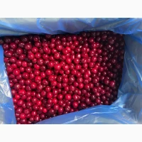 Продам свіжоморожену вишню