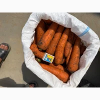 Продам моркву, є обʼєм