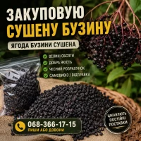 Куплю сушену бузину