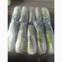 Продам пекінську капусту