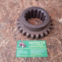 Шестерня ЮМЗ КПП 1 передачи ведущая
